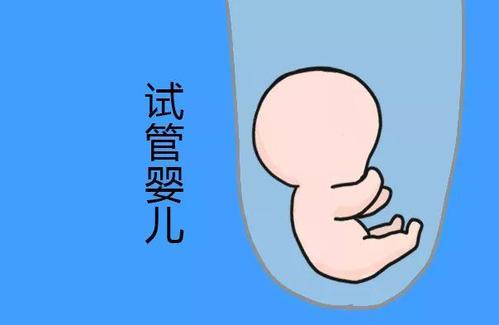 冷冻存储