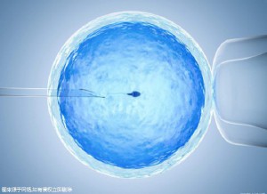 有偿孕妈借卵代怀咨询怎么选试管婴儿中心
